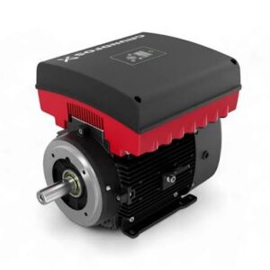 Motor Listrik Grundfos MGE MLE IE3 – Electric Motor for Pumps Batam