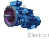Hagel Electric Motor - dari brosur resmi Huat Hoe/Hagel