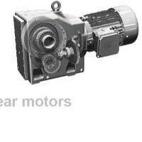 Hagel Gear Motor - dari brosur resmi Huat Hoe/Hagel