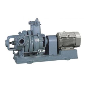 Kawamoto TVS KS Series Horizontal Multi-Stage Self-Priming Pump - resmi V2PLUS Authorized Distributor Kawamoto